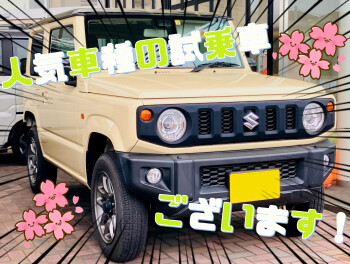 人気車種の試乗車できます！